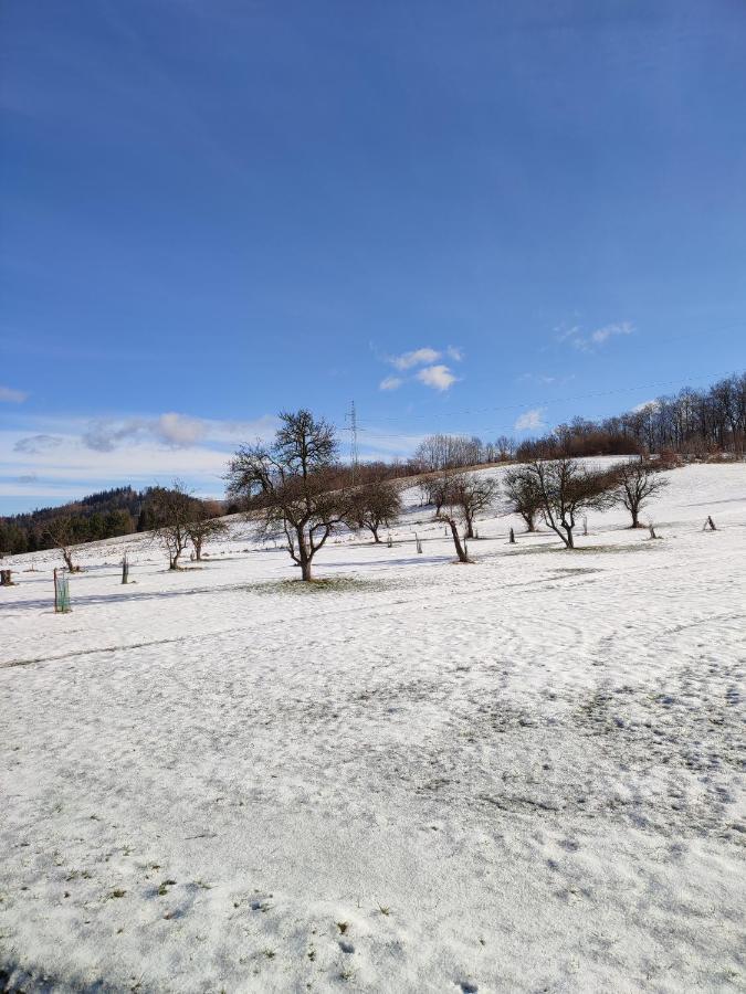 Chata Na Karpackiej Kostrzyca Esterno foto