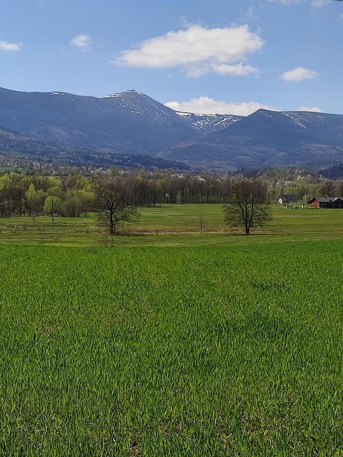 Chata Na Karpackiej Kostrzyca Esterno foto